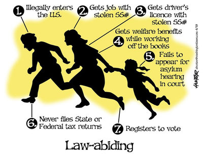 Law abiding illegals.jpeg