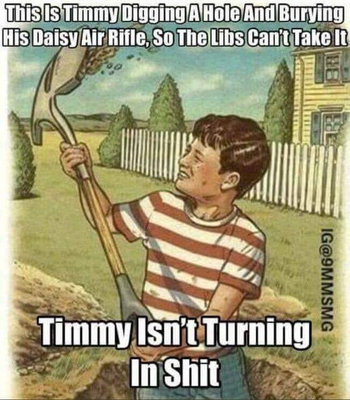 Timmys Daisy Air Rifle.jpeg