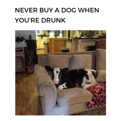 Never Buy Drunk.png