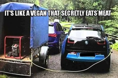 Like A Vegan.jpeg