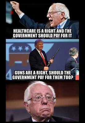 guns are rights govt should buy for me.jpg