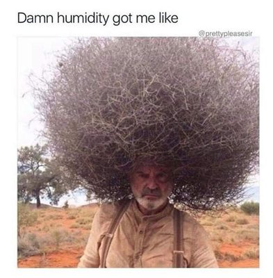 Damn Humidity.jpeg