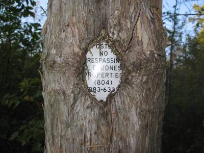a1524871-53-treesigndetail.jpg