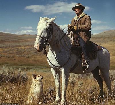 4254-7496357-Pictured_Shepherd_with_his_horse_and_dog_Taken_on_Gravelly_Range-m-96_1569286154835.jpg