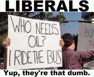 stupid liberals.jpg