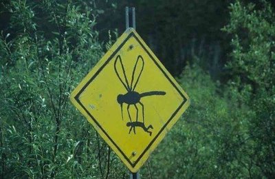 mosquito-warning-jpg.jpg