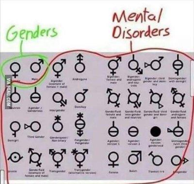 Genders.jpeg