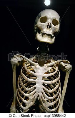 human-anatomy-real-skeleton-on-a-black-stock-photo_csp13955442.jpg