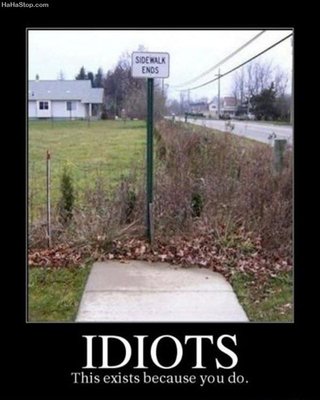 Idiots883.jpg