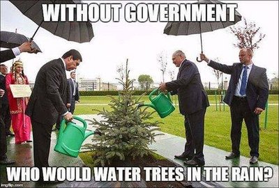 421385d1574421230-interim-musings-without-govt-who-would-water-trees-rain.jpg