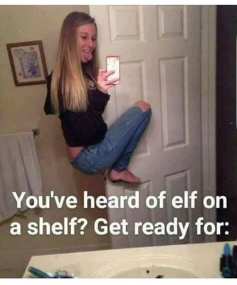 Elf on Shelf.jpg