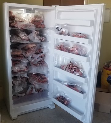 pigs in fridge.jpg