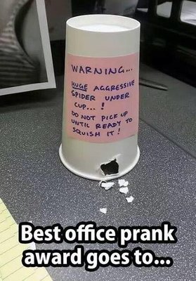 office prank.jpg