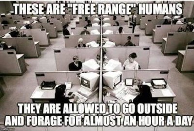 Free Range Humans.jpg