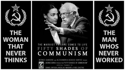 Fifty Shades Bernie.jpeg