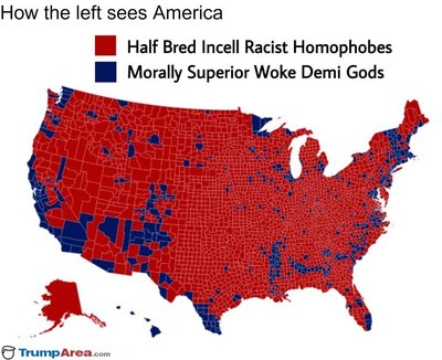 Left Sees America.jpg