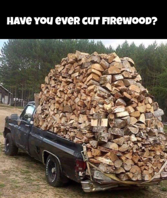 Cutting Firewood.png