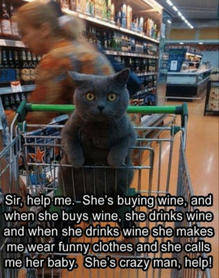 sir-help-me-shes-buying-wine-and-when-she-buys-11558916.png