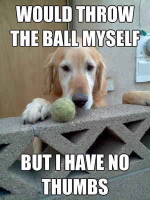 Throw Ball Myself.jpg