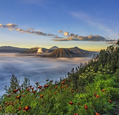 8324-8057279-_Beautiful_morning_in_Bromo_shows_Mount_Bromo_in_Indonesia_pokin-a-11_1585059257225.jpg