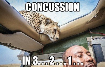 Concussion.jpg