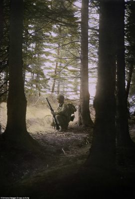 868-8176637-An_infantryman_takes_a_moment_to_himself_among_the_trees_before_-a-120_1585754910418.jpg