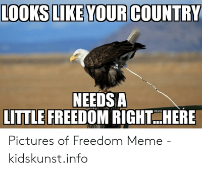 looks-like-your-country-needs-a-little-freedom-right-here-enson-53548106.png