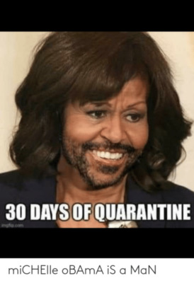 michelle-obama-is-a-man-72124196.png