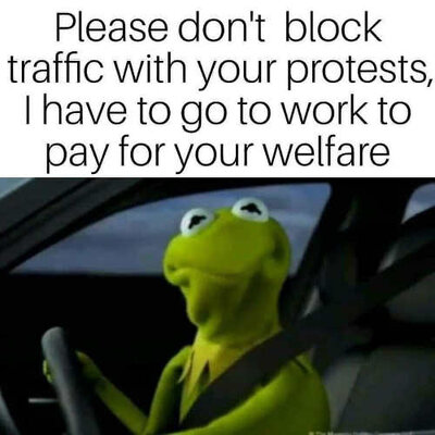 kermit-please-dont-block-traffic-with-protests-have-to-go-to-work-to-pay-for-your-welfare.jpg