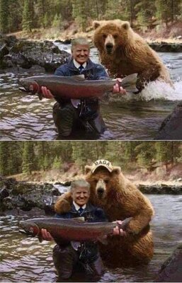 trump bear.jpg