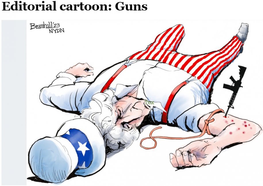 Editorial-cartoon-Guns.jpg