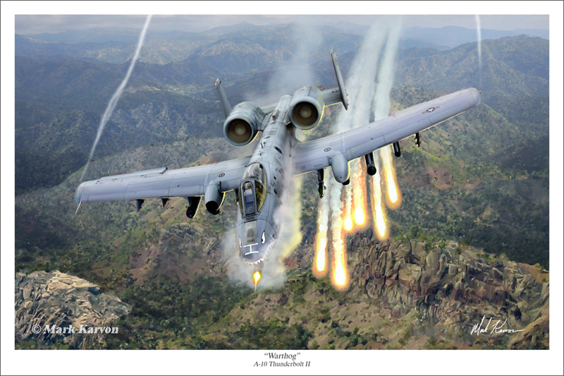 A-10_Thunderbolt_II_16x24_Print_800_1200x1200.jpg