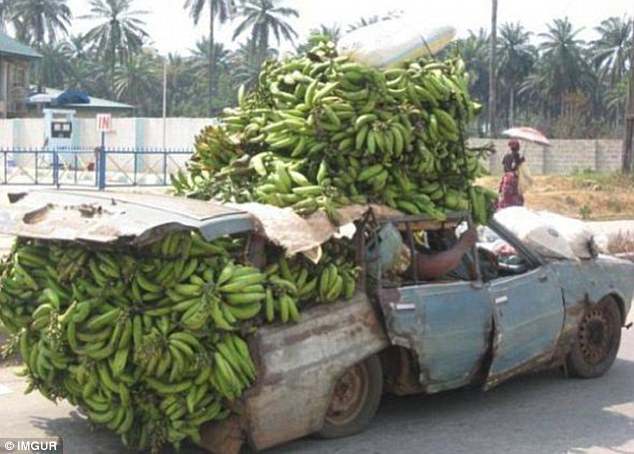 41D54C8000000578-4646850-This_car_doesn_t_look_like_it_s_fit_to_carry_one_banana_let_alon-m-45_1498649039760.jpg
