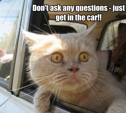 dont-ask-any-questions-just-get-in-the-car