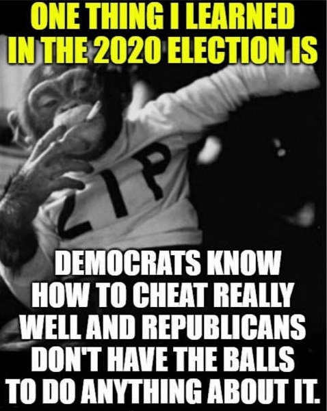 2020-election-showed-democrats-know-how-to-cheat-well-republicans-dont-have-balls-to-do-anything.jpg