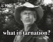 What In Tarnation Wtf GIF - WhatInTarnation Wtf Wth GIFs