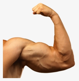 110-1106214_muscle-arm-png-background-images-transparent-muscle-arms.png