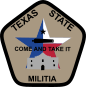 texasstatemilitia.net
