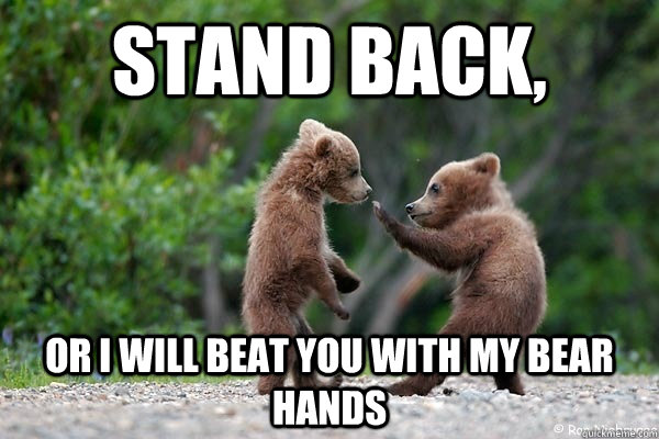 Stands-Back-Or-I-Will-Beat-You-With-My-Bear-Hands-Funny-Karate-Meme-Image.jpg
