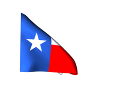 Texas_240-animated-flag-gifs.gif